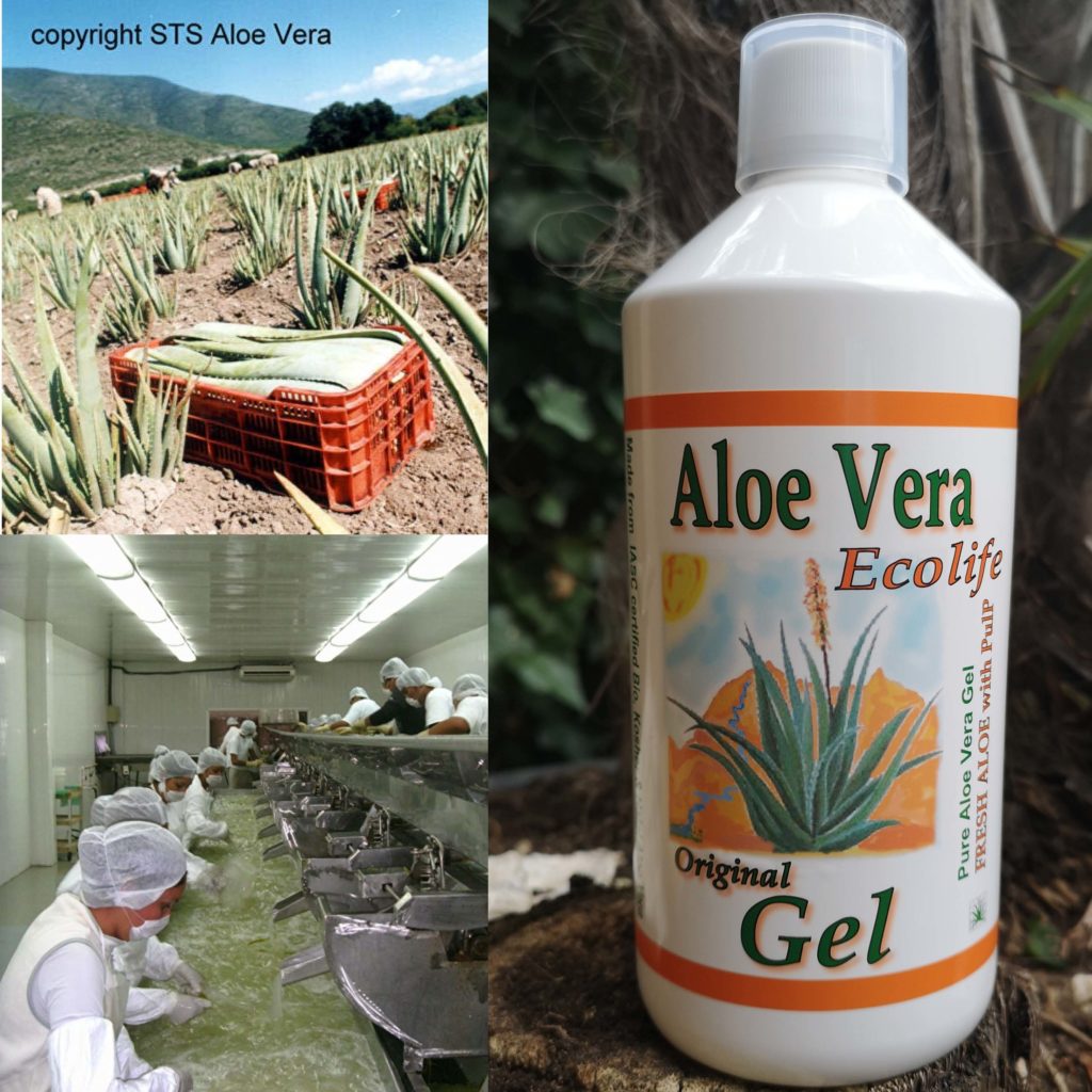 spreker raket Evalueerbaar Aloe vera producten - aloevera producten